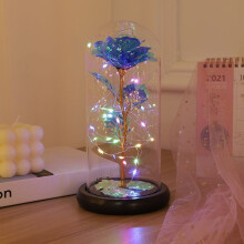 Rainbow Rose Light-Up Dome Gift for Mom, Sister, Wife – Birthday, Valentine’s, Mother’s Day, Christmas, Engagement (1pc)