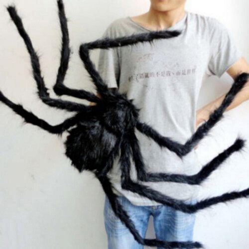 Realistic Hairy Giant Spider Halloween Prop