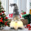 Stijggn Light-Up Gnome Plush Ornament 1