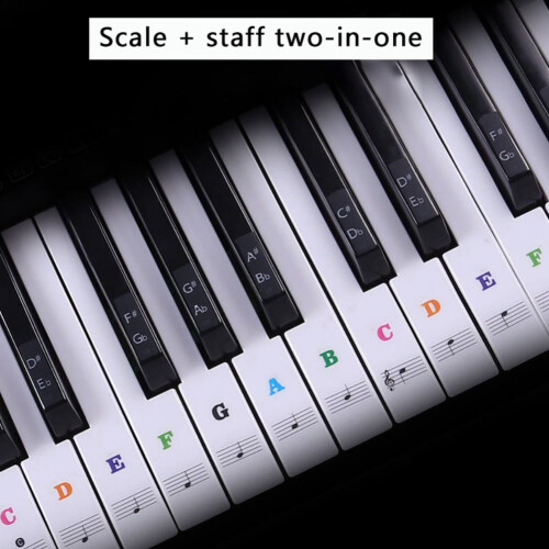 Transparent Piano Keyboard Stickers 37–88 Key
