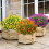 6 Pack Artificial Boxwood Shrubs, 15" Tall Faux Greenery 4