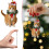 Orange Cat Christmas Ornaments, Acrylic, 2 Pack 1