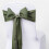 Polyester Chair Sashes Willow Green 5 Pack 1