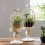 Iron Candlestick Holder – White, 32 cm, Single-End 1