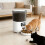 Automatic Cats Food Dispenser 4L USB Timer One-Black 2