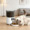 Automatic Cats Food Dispenser 4L USB Timer One-Black 4