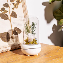 Eternal Flower Fragrance Machine with Colorful Lights, USB Charging,
