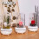 Eternal Flower Aroma Diffuser with RGB Lights USB Powered 2