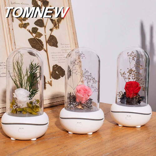 Eternal Flower Aroma Diffuser with RGB Lights USB Powered 1