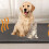 Self-Warming Dog Bed Grey – Soft Thermal Crate Mat for 2