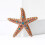 Starfish Shape Brooch Pin Portable Versatile Accessory-White 7