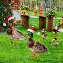 Qocolhg 5-Pc Christmas Duck Garden Stakes with Santa Hat – Lifelike Yard Art for Lawn, Pathway & Farm (Compatible with Outdoor Use)
