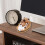 Capybara Phone Stand Resin Desk Holder 3