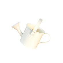 Colorful Small Metal Watering Can Light weight Sprayer-bai she