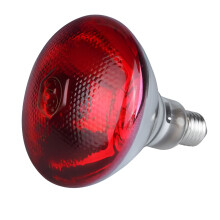 Lámpara de calor infrarroja de 250 W para pollos, lechones y aves.