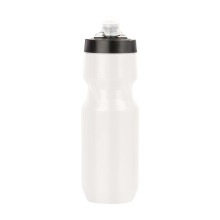 Insulated Stainless Steel Water Bottle 750ml