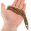 Cadena de péndulo de acero resistente para relojes de pie, 1 juego. 4