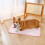 Cooling Mat for Dogs - Pet Cooling Blanket(70*50CM) 1