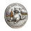 Trashed Panda Incident Challenge Coin Alloy Tokens Funny-A 1
