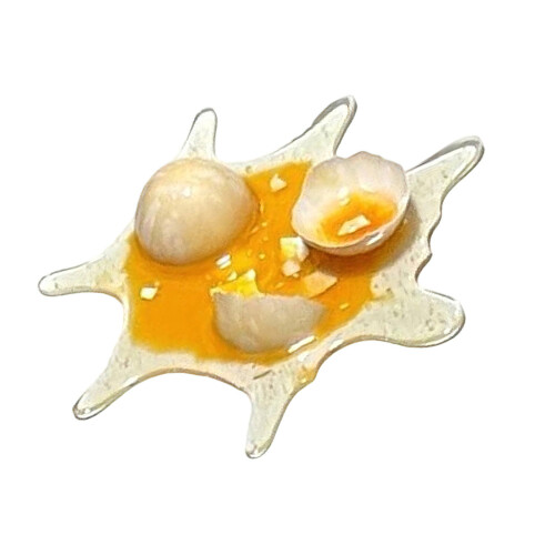 Multifunctional Eggs Gag Device with Real Eggshell-1