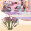 Organic Hamster Bedding Blend with Dried-Fairy Tale Manor 3