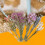 Organic Hamster Bedding Blend with Dried-Fairy Tale Manor 5