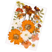 Pressed Plant Set With Natural Flower For Artisanal-Orange