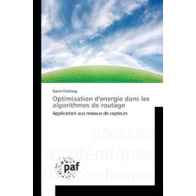 Optimisation d'energie dans les algorithmes de routage
