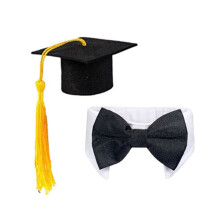 Tenues d'oies de porche de remise de diplôme, casquette de