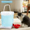 Automatic Bottle Cats Dog Bowls Bucket Space Saving Feeder-5L 3