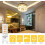 10-pack dimmable G9 LED bulbs 3W warm white 3000K, halogen replacement_Surprise Gift 3