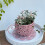 Artistic Retro Charm Metal Container Iron Flower Pot For-Blue 6