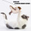 Selfteasing Chirping Bird Toy for Boredom Cats Remote Control 2