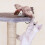 Selfteasing Chirping Bird Toy for Boredom Cats Remote Control 7