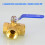 Corrosion Resistant Valves Temperature Resist for-3 points DN10 5