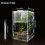 Boîte d'élevage de petits reptiles, Cage transparente en 3