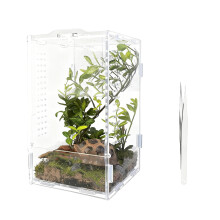 Boîte d'élevage de petits reptiles, Cage transparente en