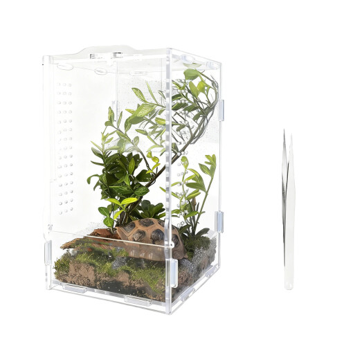 Boîte d'élevage de petits reptiles, Cage transparente en