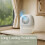 The Prem-I-Air 360º Silent Moisture Absorber 7