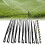 G Type Irrigation Sprinklers 10 Pack 6
