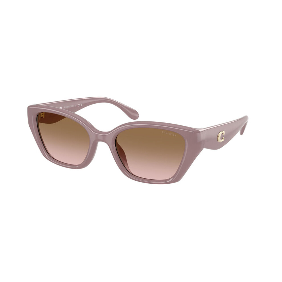Coach Hc8434u Cby91 549511 Women New Sunglasses Brown
