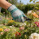 Flexible Arbeitshandschuhe mit Sonnenschutz und-königsblau 5