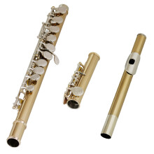 Ergonomic 16 Hole Flute in Green Bronze for Home Practice and