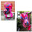 Horse Shedding Grooming Massaging Tool Set Bathing Cleaning 4