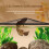 DIY Magnetic Mesh Tanks Guard Netting for Fish Pet Includes-80 5
