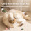 Environmentally Friendly Biodegradables Rolling Toy Cats Auto-S 6