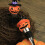 Halloween-viinitulppa kurpitsalla ja hatulla 5