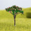 Artificial Tree Decor for Miniature Gardens 1pc 4