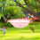 Outdoor Bird Bath and Feeder - Windproof Rainproof with 5