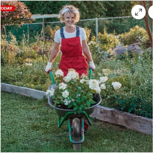 PU 14" Replacement Puncture Proof Wheelbarrow 2